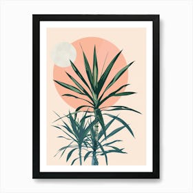 Dracaena Plant Minimalist Illustration 3 Art Print
