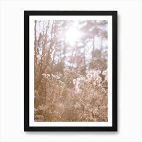 Afternoon Glow Art Print