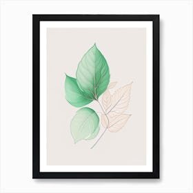 Mint Leaf Contemporary 2 Art Print
