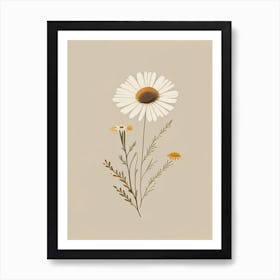 Chamomile Spices And Herbs Retro Minimal 3 Art Print