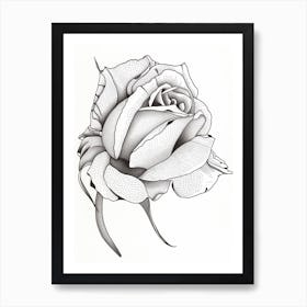Rose Line Drawing 3 Art Print