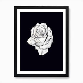 Rose Art Print