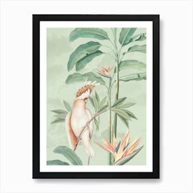 Vintage Jungle Parrots And Flowers 1 Art Print