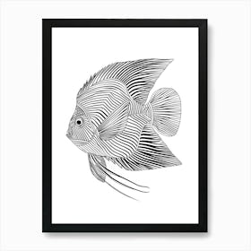 Angelfish animal lines art Art Print