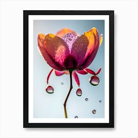Water Droplet Orchid Flower Art Print