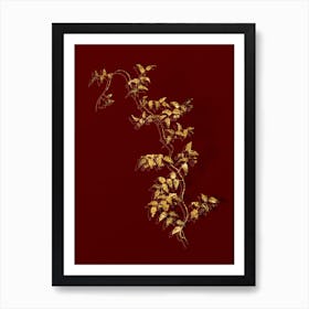 Vintage Bridal Creeper Botanical in Gold on Red n.0085 Art Print