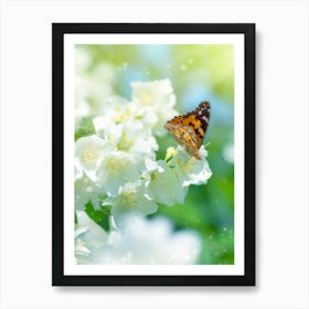 Butterfly On White Flowers Art Print