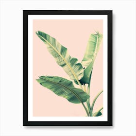 Banana Leaf 18 Art Print