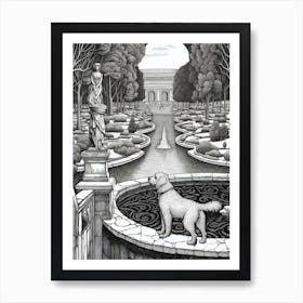 Drawing Of A Dog In Versailles Gardens, France In The Style Of Black And White Colouring Pages Line Art 04 Art Print