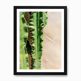 Detail Of A Cactus In The Sun Art Print