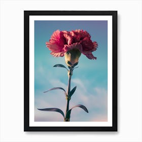 Carnation Flower 1 Art Print