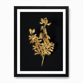 Vintage Restharrows Botanical in Gold on Black Art Print