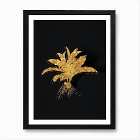 Vintage Kaempferia Angustifolia Botanical in Gold on Black Art Print