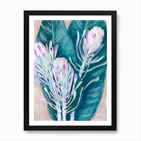 Protea Art Print