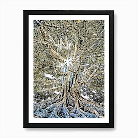 Tree Oak Growth Nature Art Print