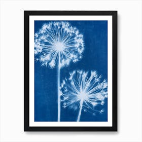 Blue Cyanotype Allium Print 1 Art Print
