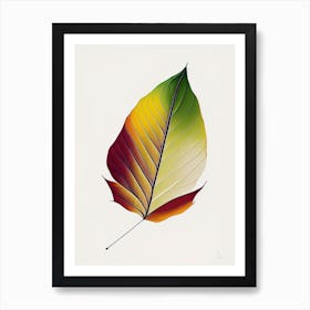 Sycamore Leaf Abstract 5 Art Print