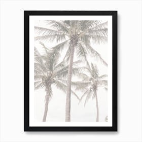 Palms On Beach Art Print