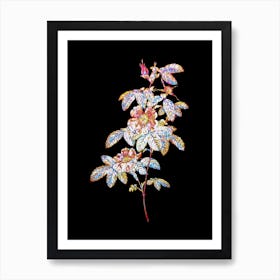 Stained Glass Single May Rose Mosaic Botanical Illustration on Black n.0093 Art Print