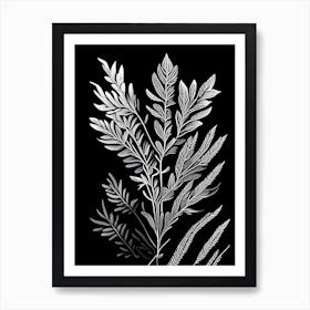 Rosemary Leaf Linocut 1 Art Print