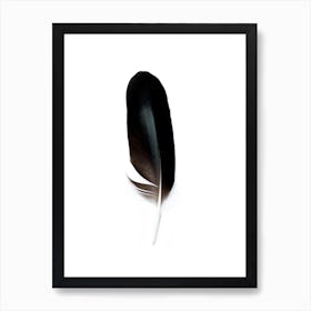 Black Feather Spirit II Art Print