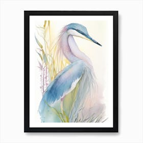 Pacific Reef Heron Gouache 1 Art Print