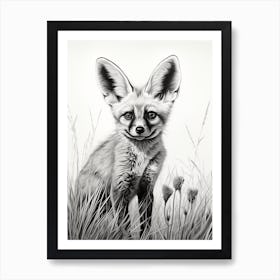 Bat Eared Fox In A Field Pencil Drawing 2 Art Print