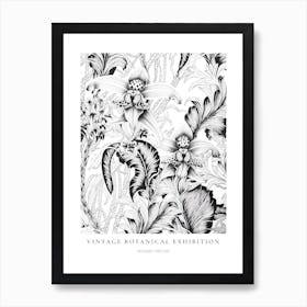 Monkey Orchid B&W Vintage Botanical Poster Art Print