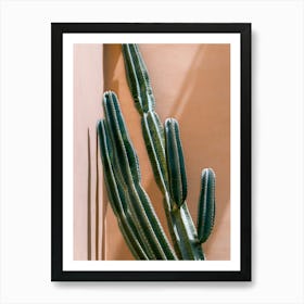 Cactus against pink wall in Fes, Morocco | Colorful travel photography Art Print