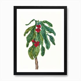 Kohleria (Kohleria) Watercolor Art Print