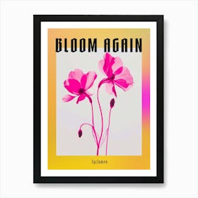 Hot Pink Cyclamen 1 Poster Art Print