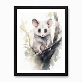 Light Watercolor Painting Of A Nocturnal Possum 4 Art Print