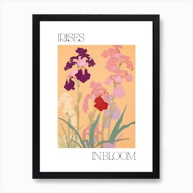 Irises In Bloom Flowers Bold Illustration 3 Art Print