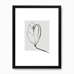 Tulip 3 Art Print