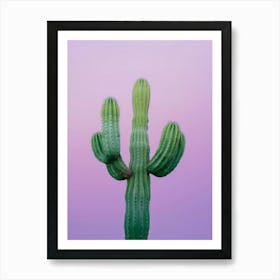 Cactus On A Purple Background Art Print