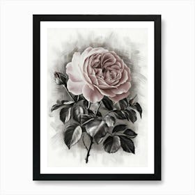 ِAbstract Rose Art Print