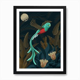 Sacred Quetzal Bird In The Jungle Art Print