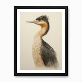 Vintage Bird Drawing Cormorant 1 Art Print