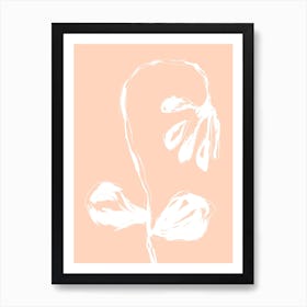 Peach Flower Art Print