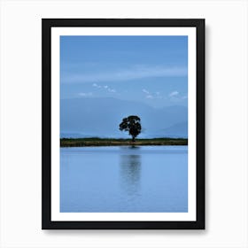 Shadows In The Blue Art Print