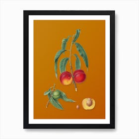 Vintage Walnut Peach Botanical on Sunset Orange n.0519 Art Print