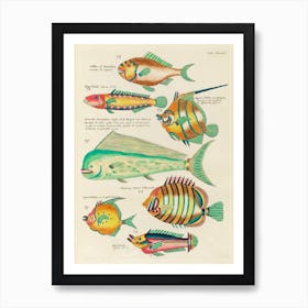 Colourful And Surreal Illustrations Of Fishes Found In Moluccas (Indonesia) And The East Indies, Louis Renard(19) Art Print