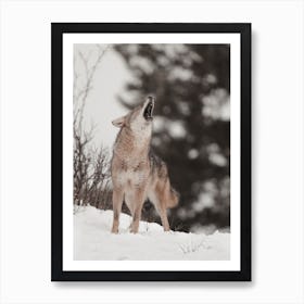 Howling Winter Wolf Art Print