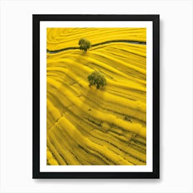 Yellow Fields 1 Art Print