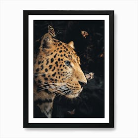 Leopard With Butterflies 1 Art Print