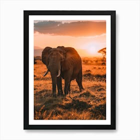 Elephant At Sunset In Kenya Art Print