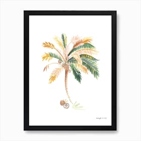 Unawatuna Palm Poster