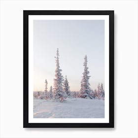 Arctic Forest Art Print