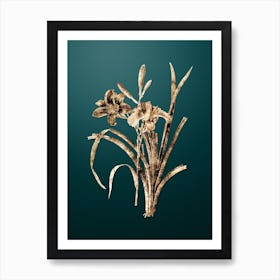 Gold Botanical Orange Day Lily on Dark Teal n.0945 Art Print