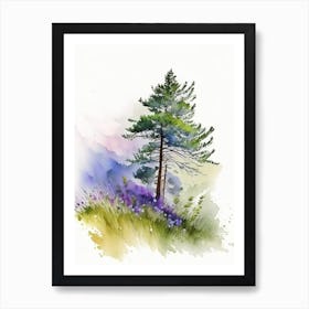 Running Pine Wildflower Watercolour 1 Art Print